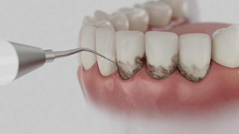 Reliable Dental contractor in Castaic, CA by Dentist Open Now